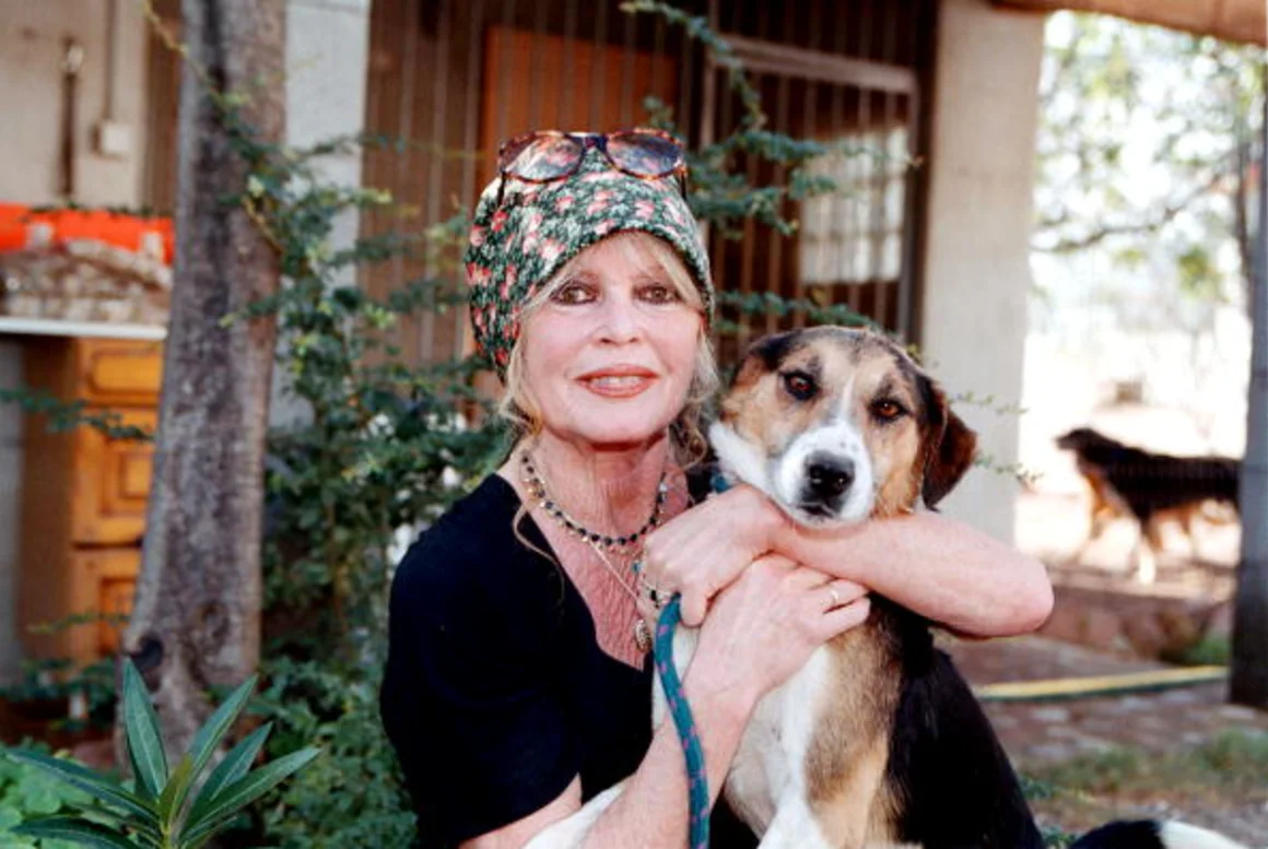 brigitte-bardot-2001