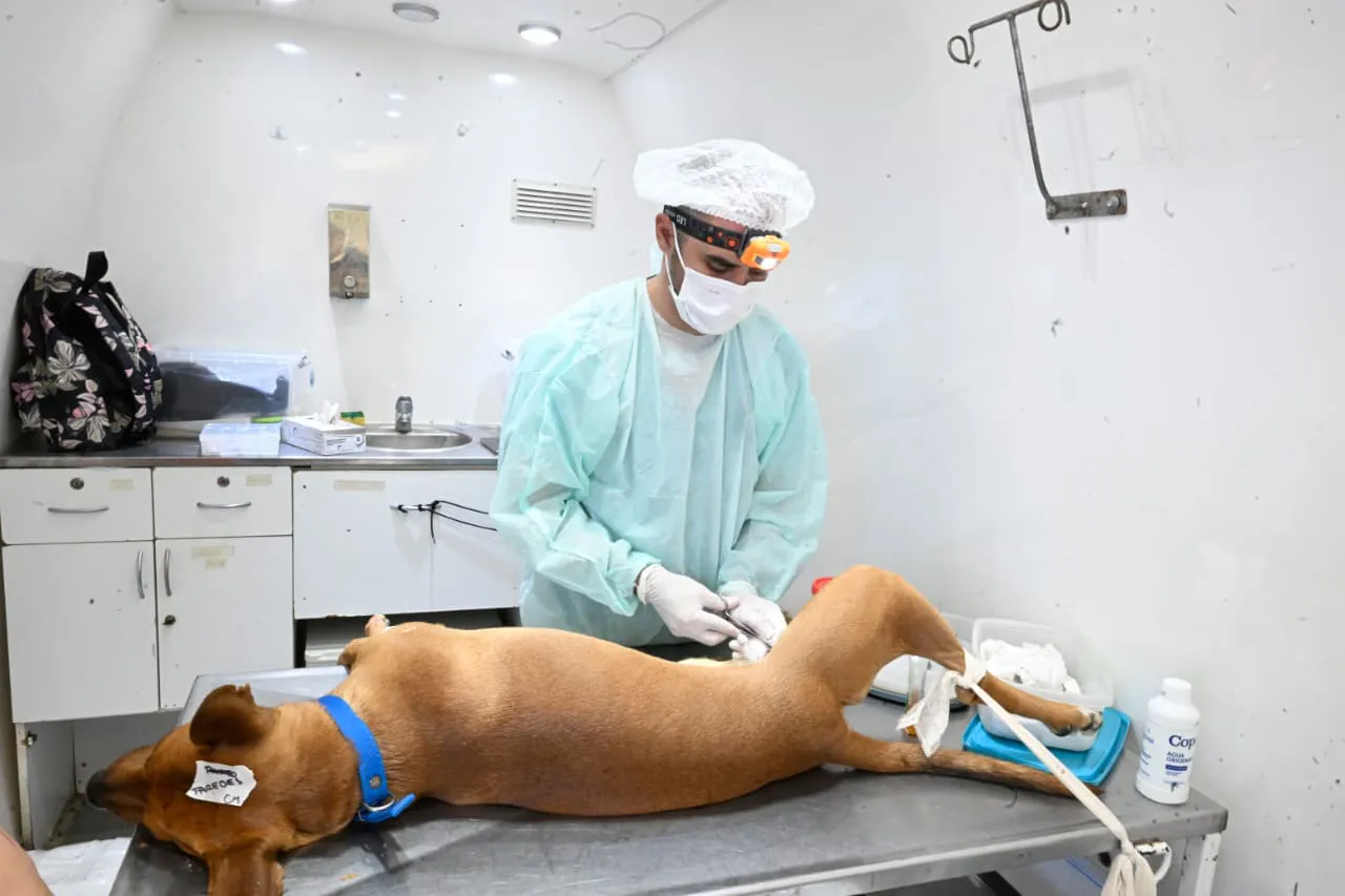 WhatsApp Image 2025-11-17 at 4.26.02 PM (2)