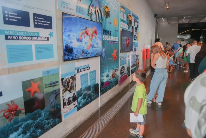 Muestra Vidas Submarinas 1