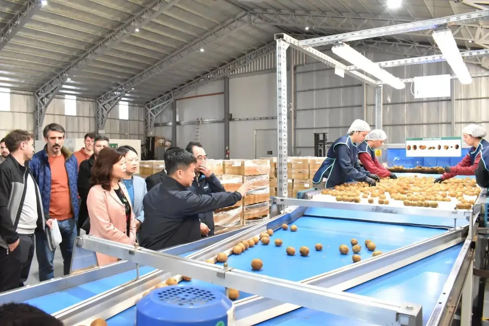 MGA - Visita Delegación China a Planta Kiwi - 07 Junio 2025 b