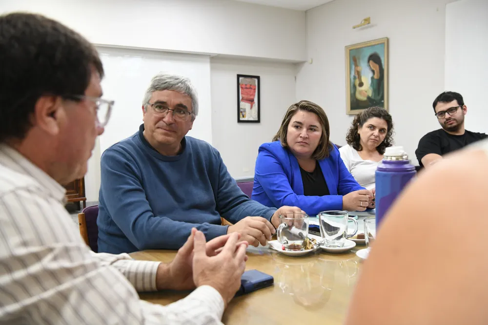 Dorrego Fiesta Olivo (1)