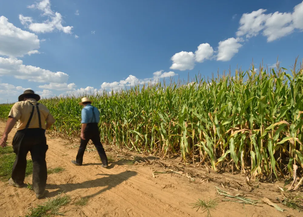 8.9 Día del Agricultor 1