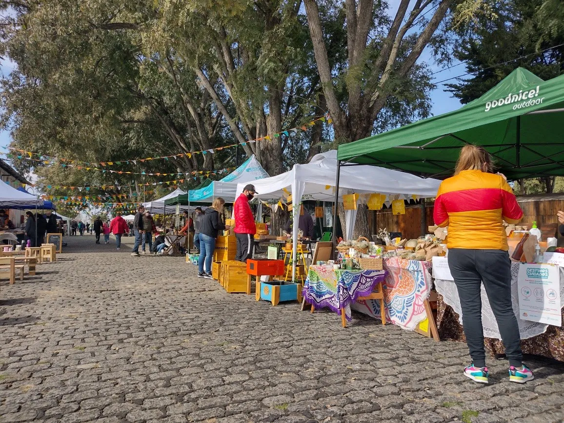 235561415_1520097561666397_3449711891937594794_n