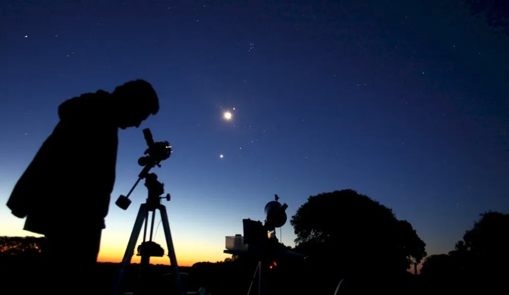 observación