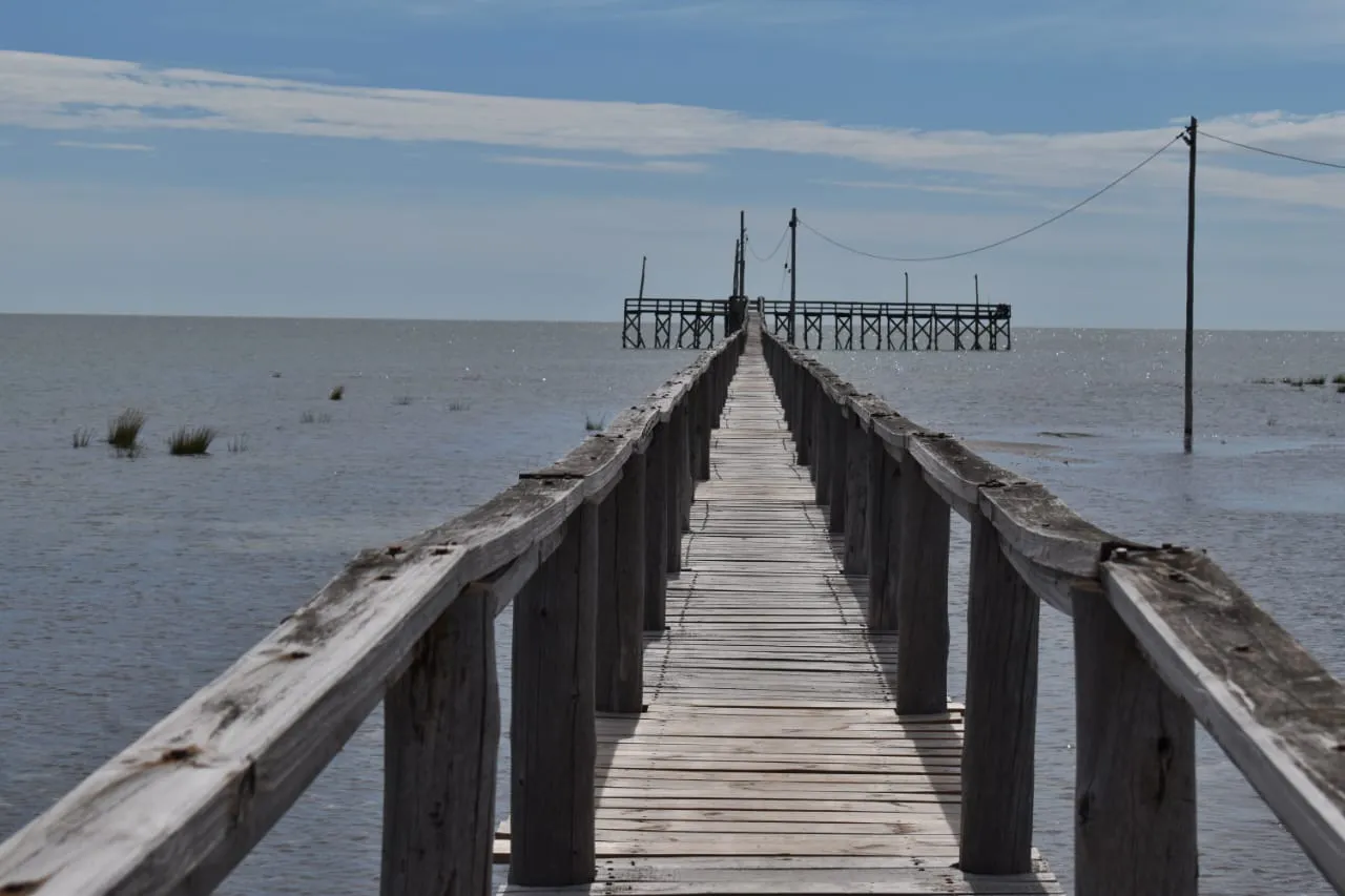 WhatsApp Image 2026-01-12 at 13.30.22