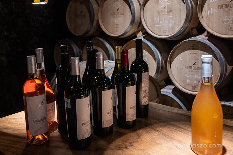 puerta-del-lobo-vinedos-ruta-y-mejores-vinos-1