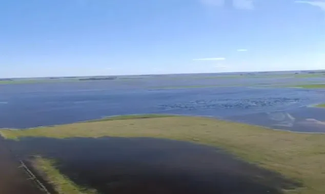 WhatsApp Image 2025-11-17 at 20.18.56