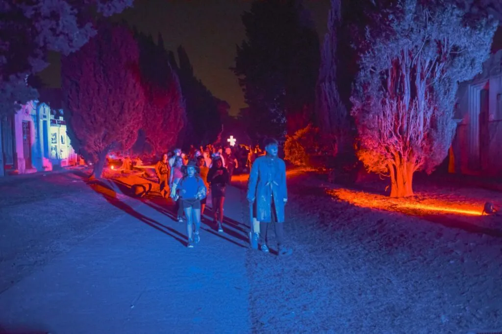 WhatsApp-Image-2024-11-04-at-20