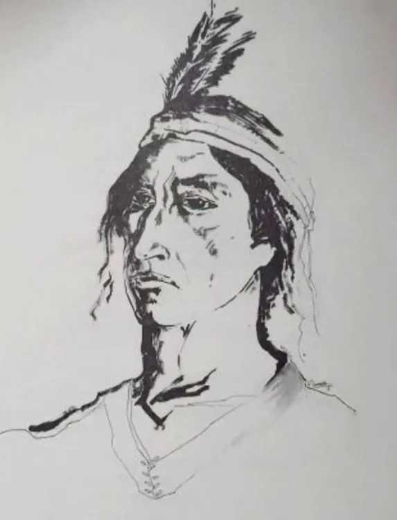 12.2 Figura de Viltipoco