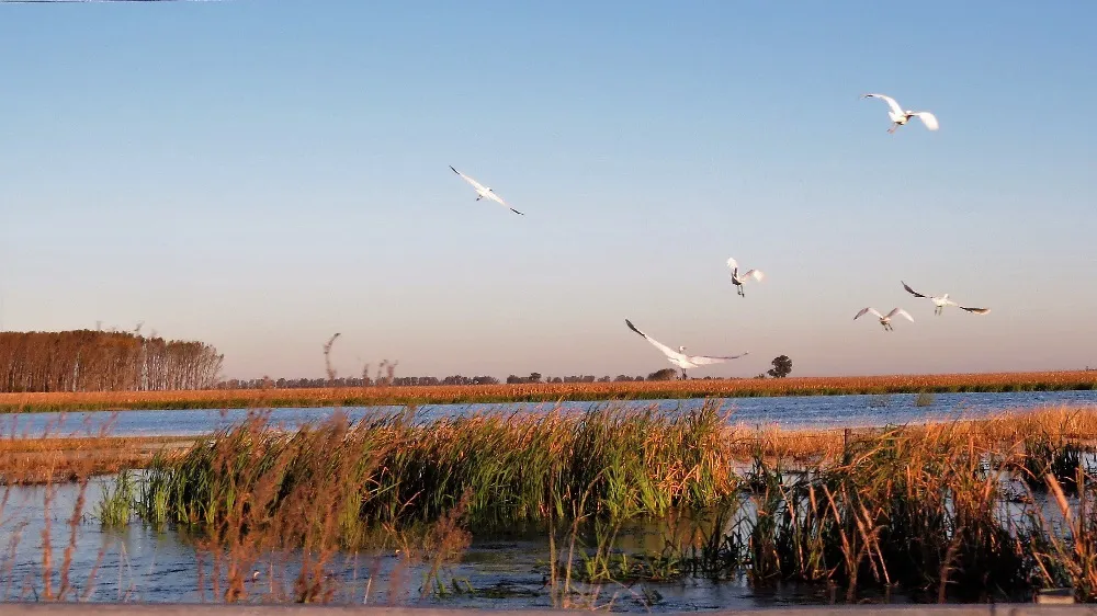 2.2 Día mundial de los Humedales