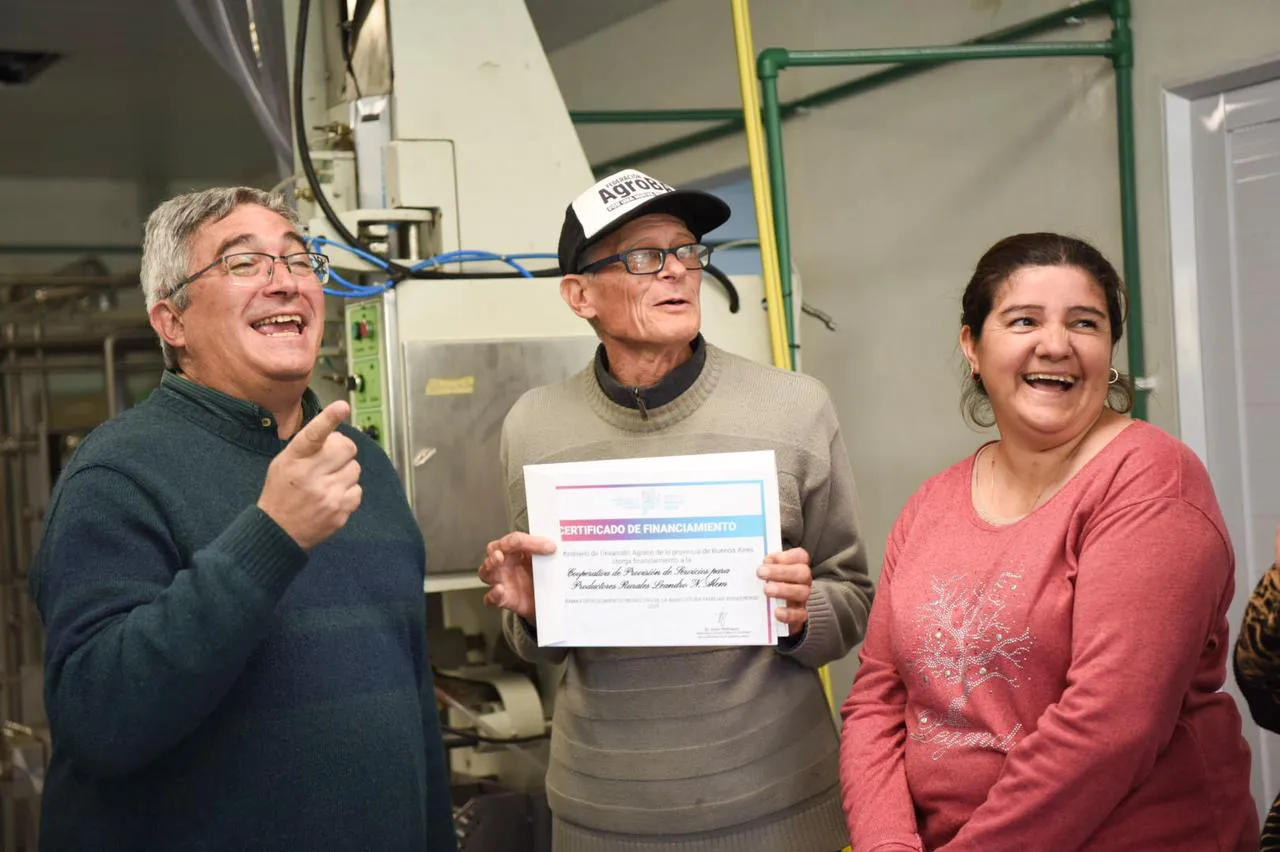 minibuses y usina (3)