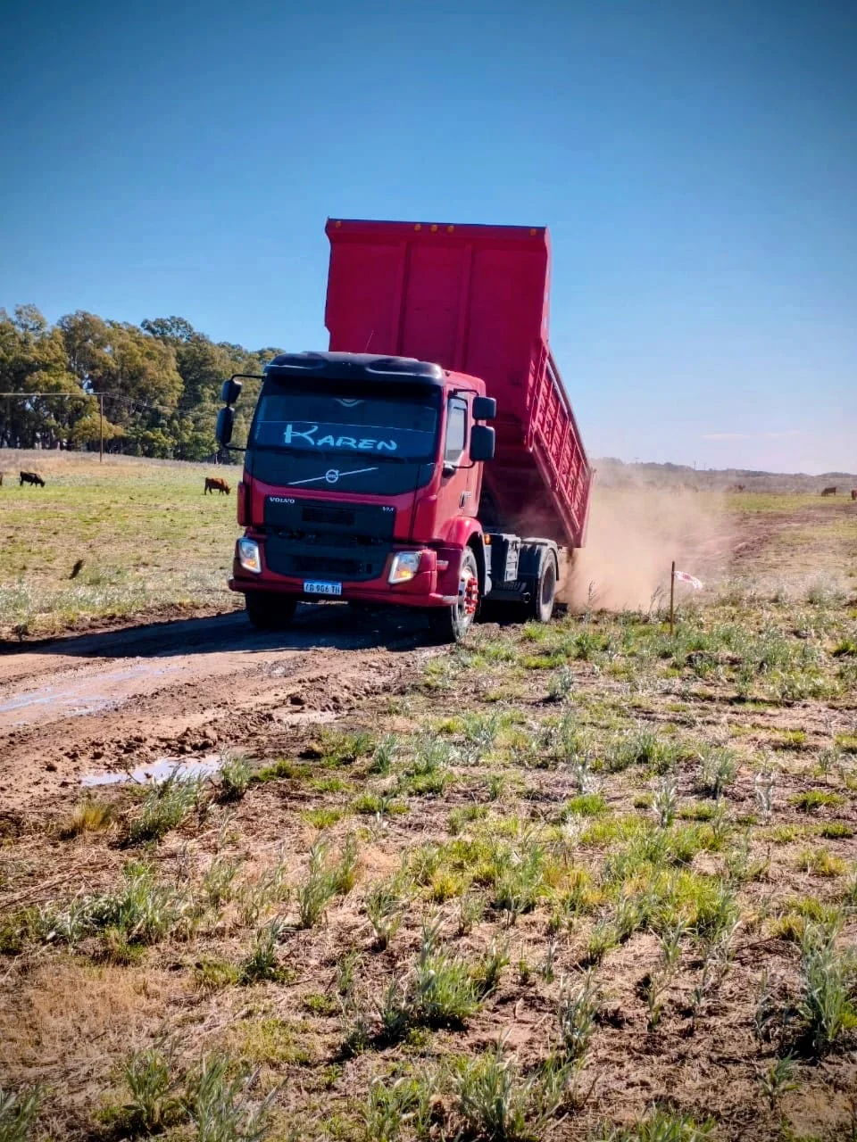 WhatsApp Image 2026-03-10 at 11.05.28