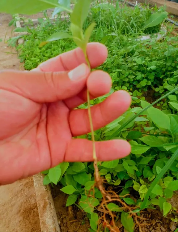 Imagen de WhatsApp 2025-11-02 a las 14.04.01_dffa35cf