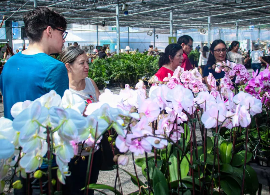 Captura de pantalla 2026-04-10 181818