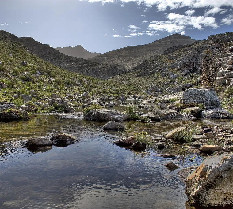 7b9efe06f6f56ec8677fac7032c53019