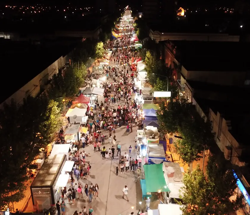 FIESTA-NACIONAL-DEL-GIRASOL3