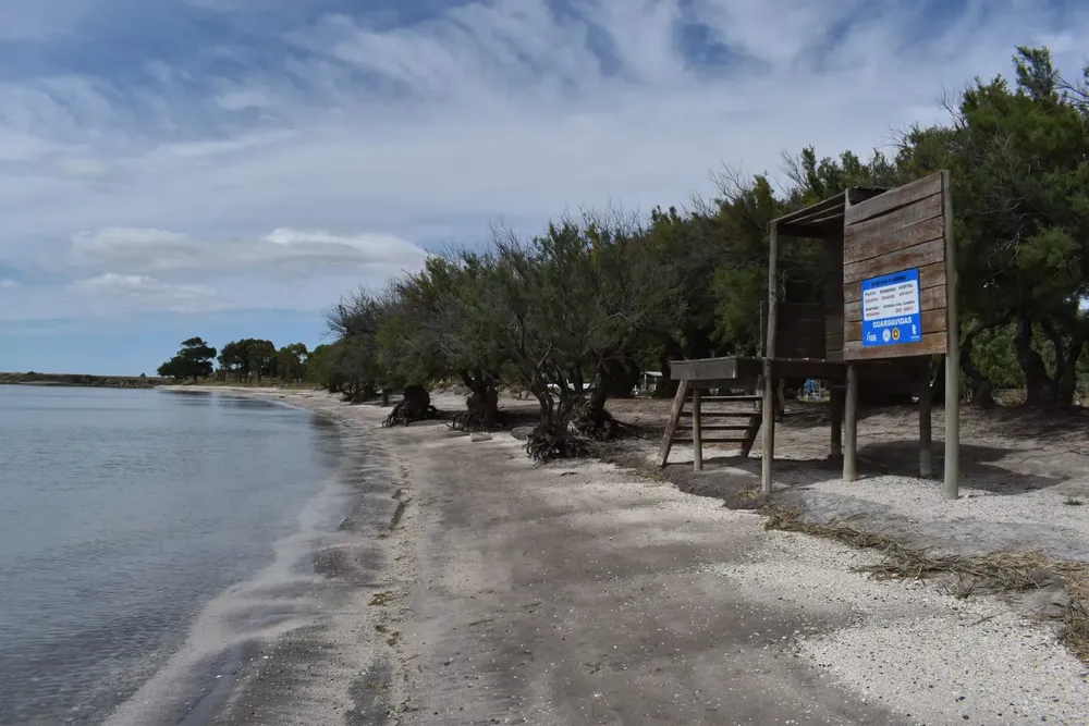 WhatsApp Image 2025-12-13 at 17.44.492