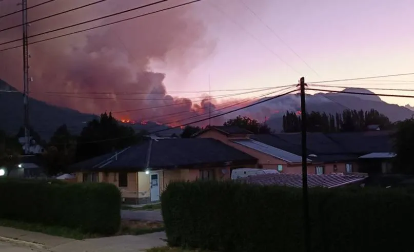 WhatsApp Image 2026-01-06 at 08.33.22